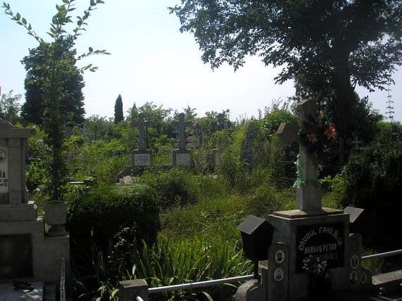 Foto 07