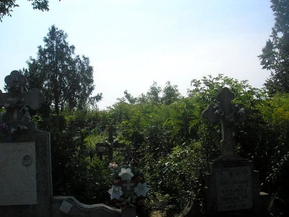 Foto 09