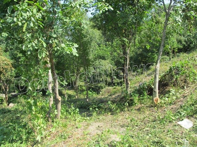 Zona riverana Parcului Cholet Dorohoi_02