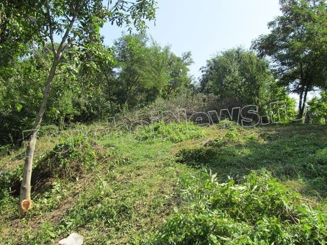 Zona riverana Parcului Cholet Dorohoi_03