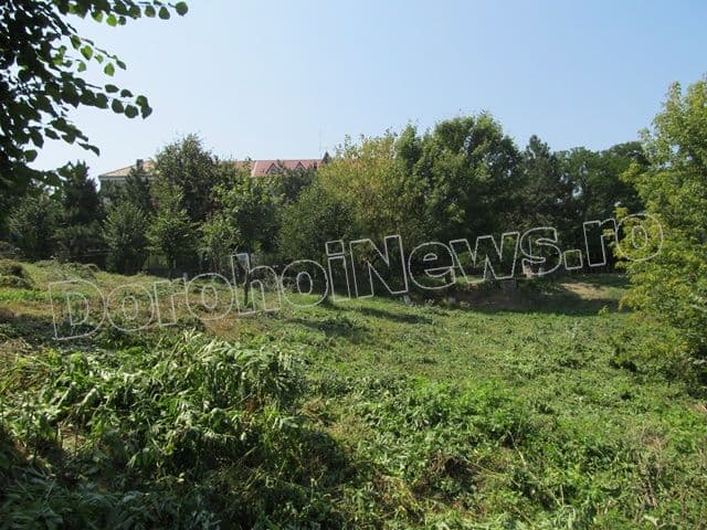 Zona riverana Parcului Cholet Dorohoi_04