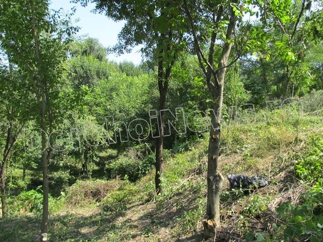 Zona riverana Parcului Cholet Dorohoi_05