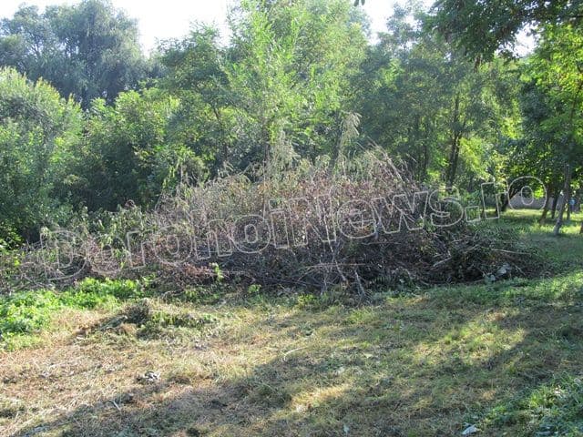 Zona riverana Parcului Cholet Dorohoi_06