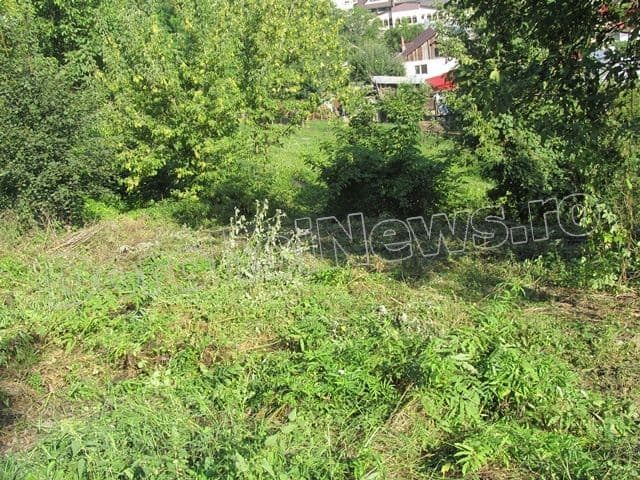 Zona riverana Parcului Cholet Dorohoi_07