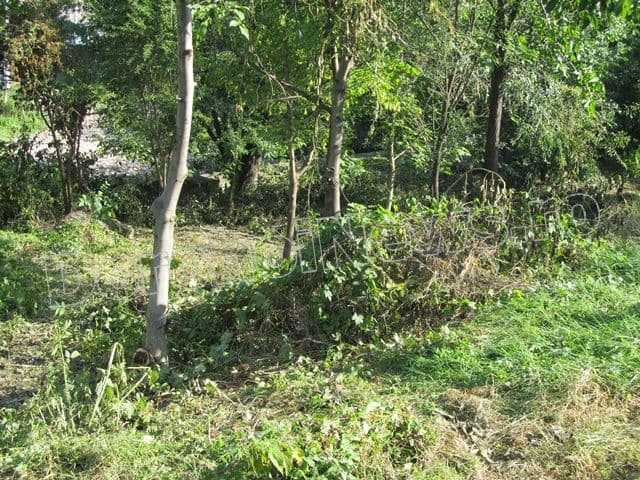 Zona riverana Parcului Cholet Dorohoi_08