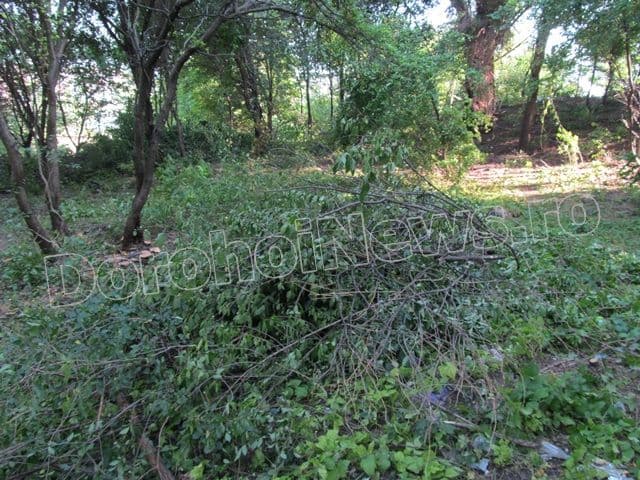 Zona riverana Parcului Cholet Dorohoi_09