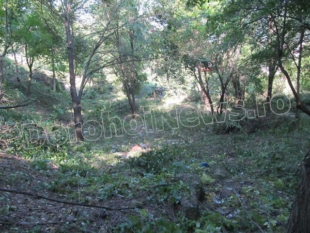 Zona riverana Parcului Cholet Dorohoi_10