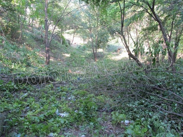 Zona riverana Parcului Cholet Dorohoi_11