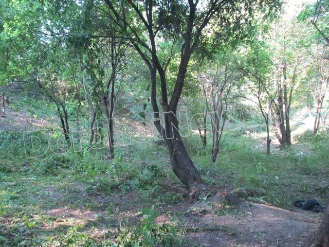 Zona riverana Parcului Cholet Dorohoi_12