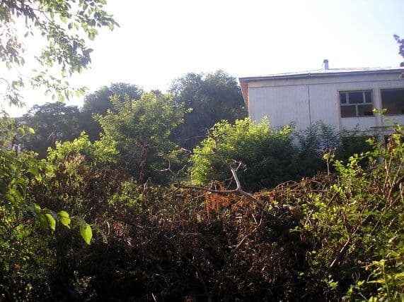 Foto 12