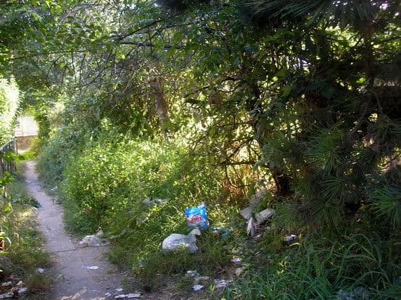 Foto 14