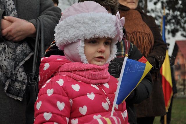 1 Decembrie 2014 la Dorohoi_10