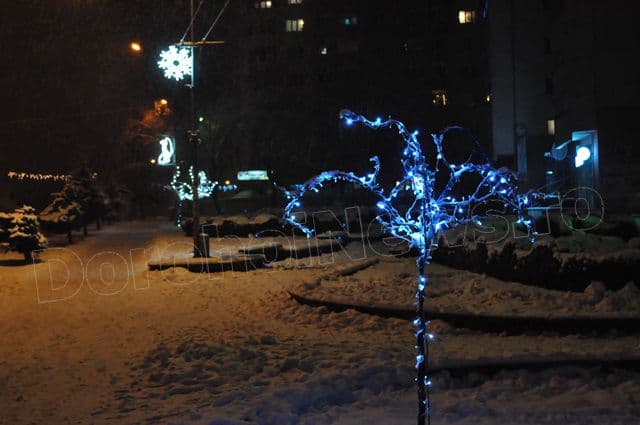 Luminite Dorohoi 2014_07