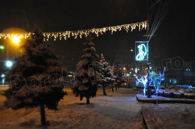 Luminite Dorohoi 2014_10