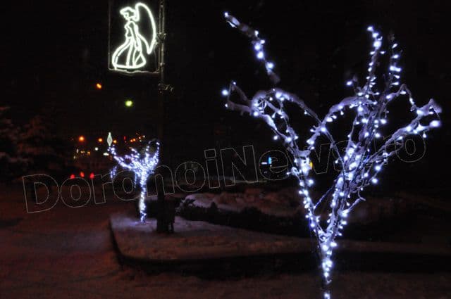 Luminite Dorohoi 2014_11