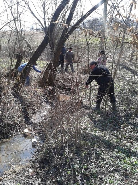 Curatenie de primavara Ibanesti_4