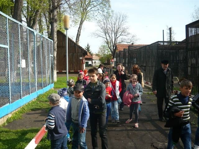 Ibanesti (4)