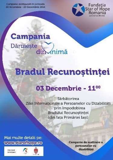Bradul Recunostintei