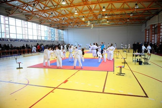 cupa Karate Tiger008