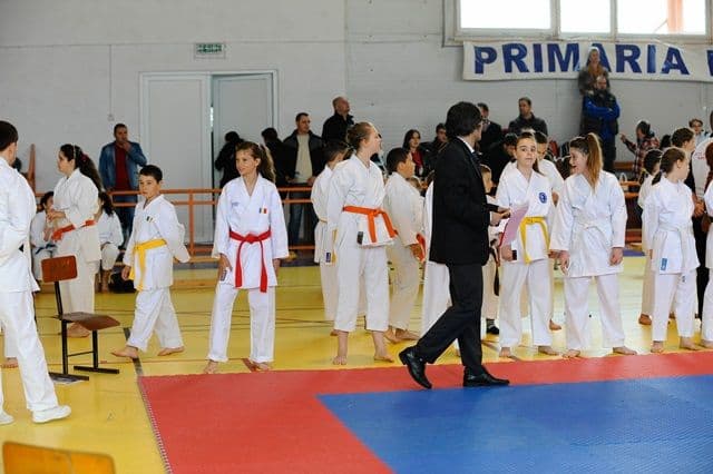 cupa Karate Tiger065