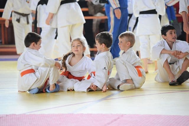 cupa Karate Tiger135