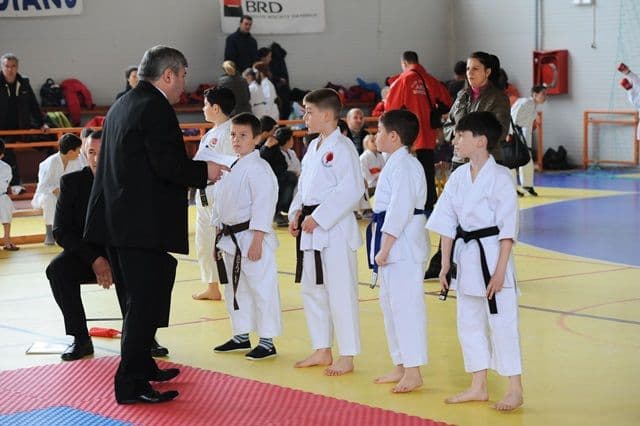 cupa Karate Tiger136
