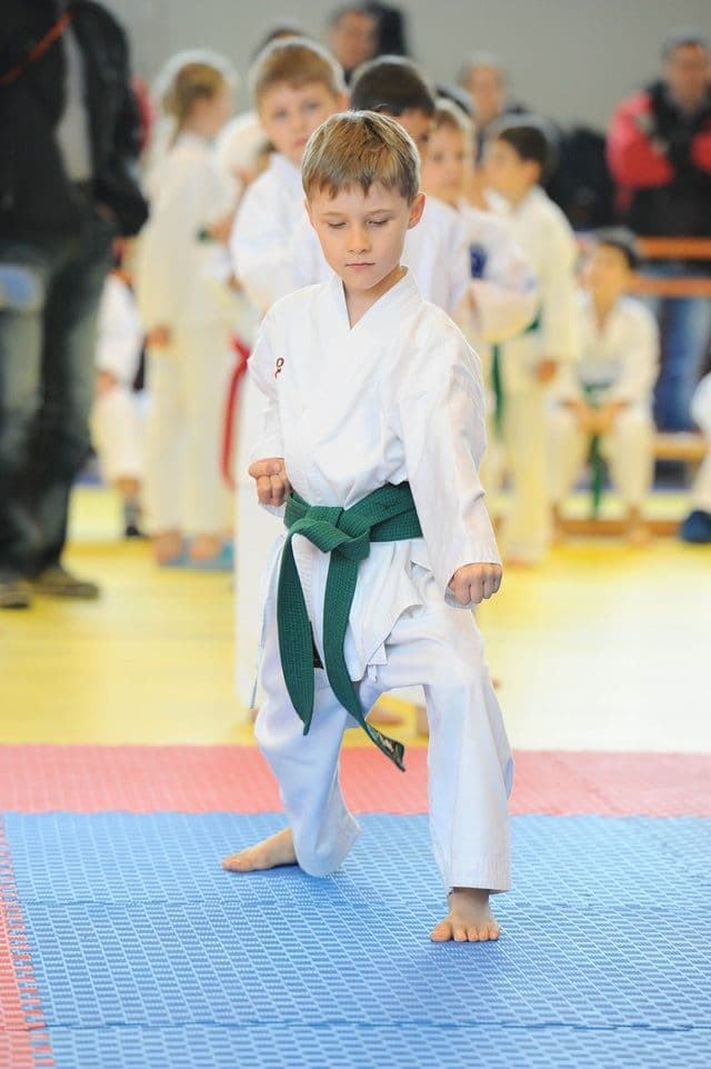 cupa Karate Tiger001