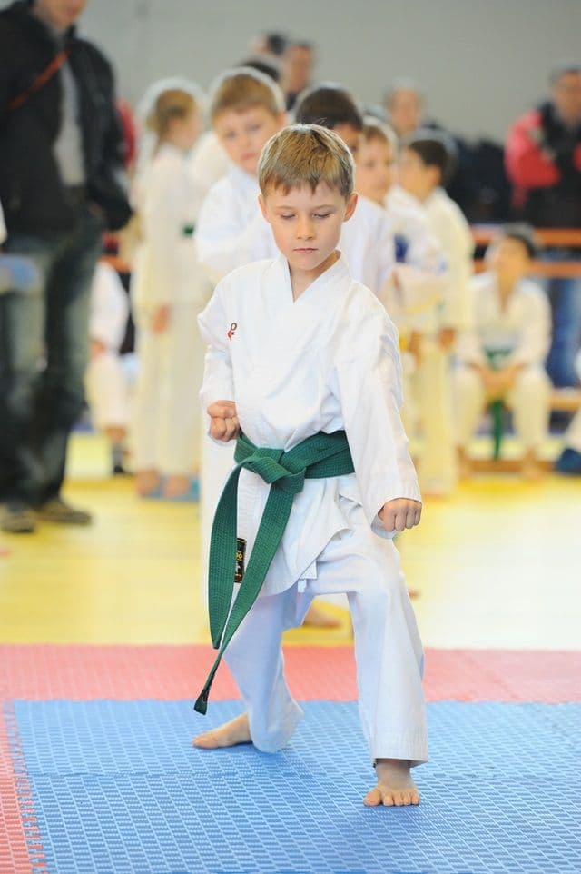 cupa Karate Tiger002