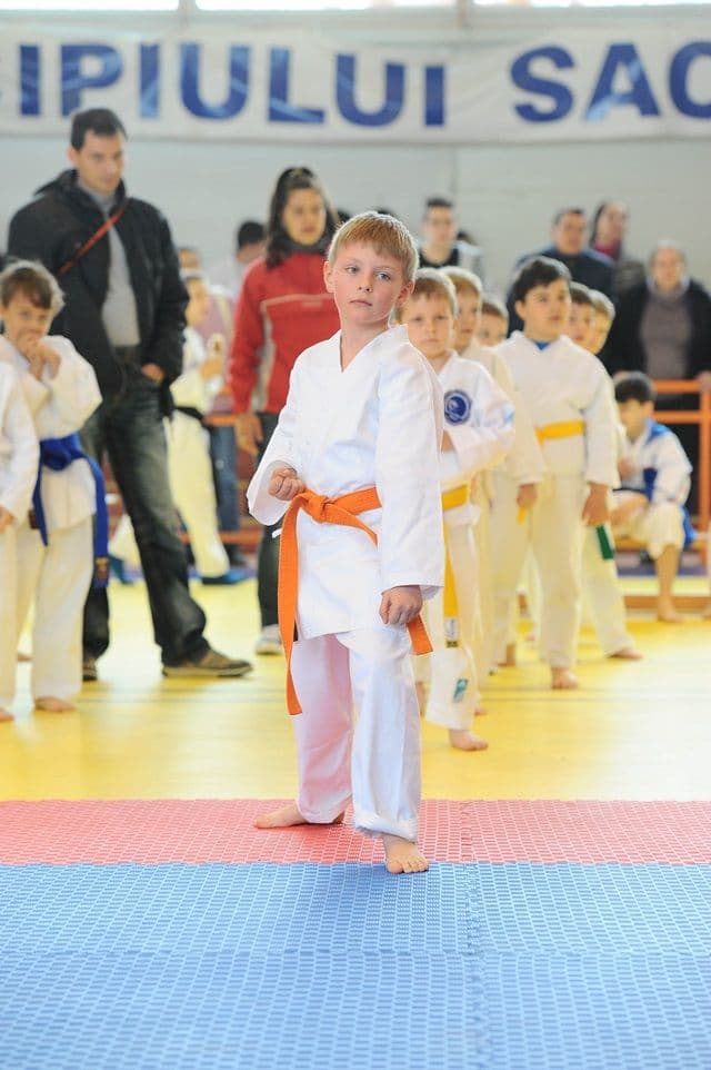 cupa Karate Tiger003
