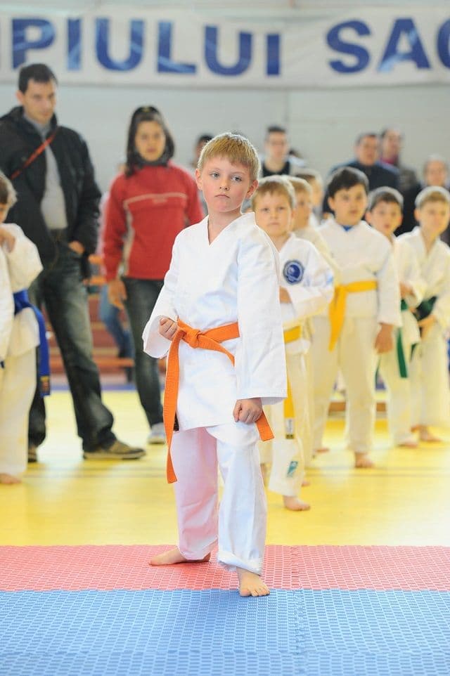 cupa Karate Tiger004