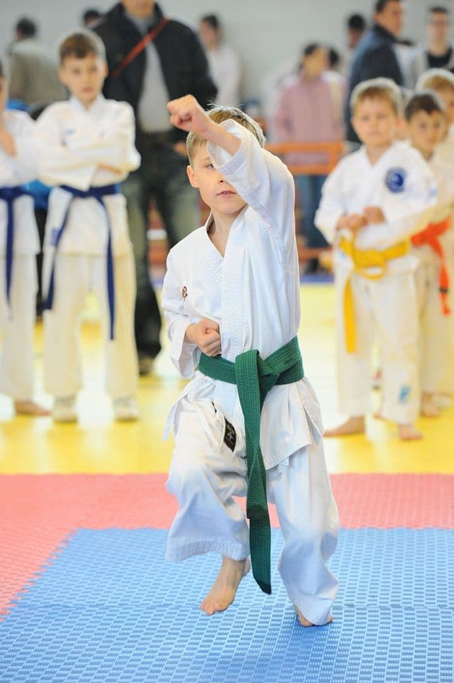 cupa Karate Tiger006