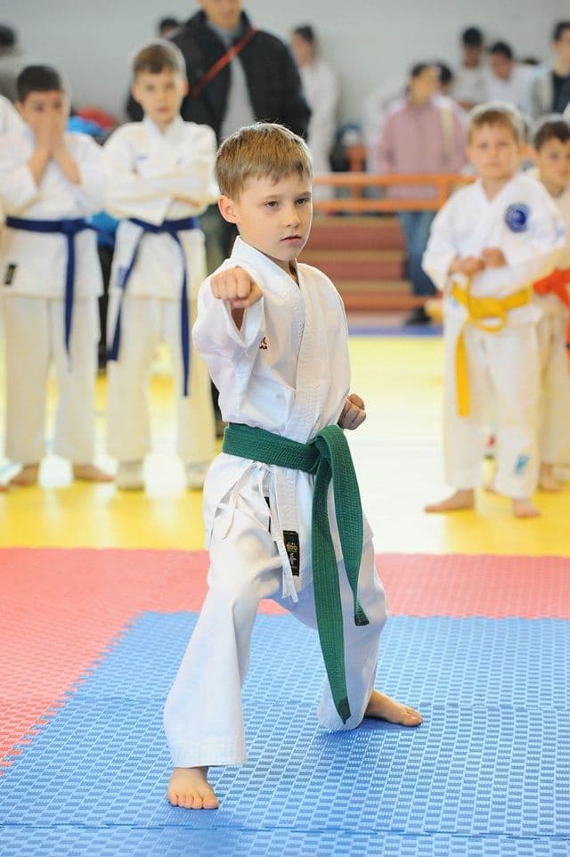 cupa Karate Tiger007