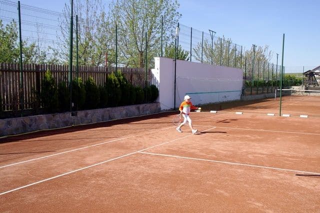 Turneu Tenis 10 FRT Dorohoi008