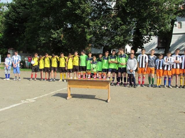 Pomirla Concurs Judetean (2)