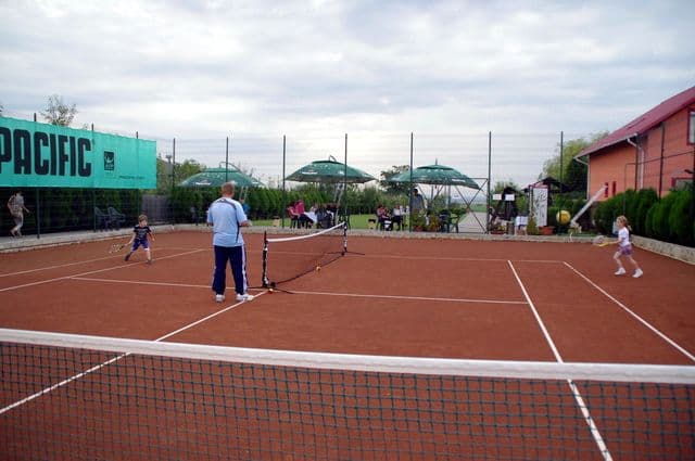 TENIS 10 008