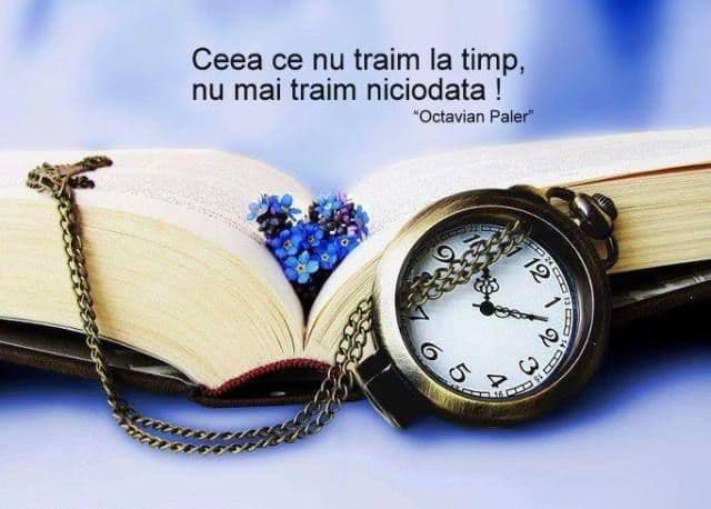 Gânduri de sfârşit de săptămână şi început de an nou - 2015