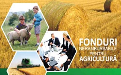 În perioada 28 noiembrie 2014-16 ianuarie 2015, pot fi solicitate fonduri nerambursabile pentru înființarea grupurilor de producători