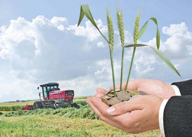 Ce noutăţi aduce 2015 pentru fermierii din România