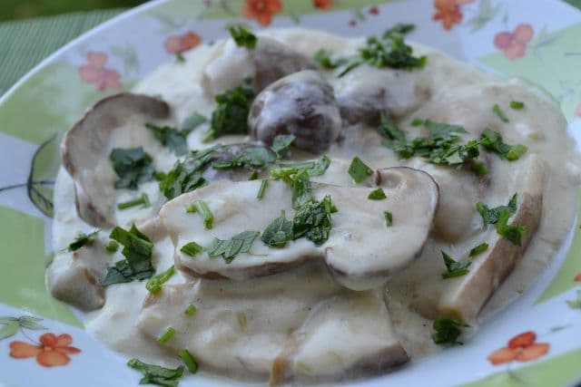 Tocăniță cu pui, ciuperci pleurotus și smântână