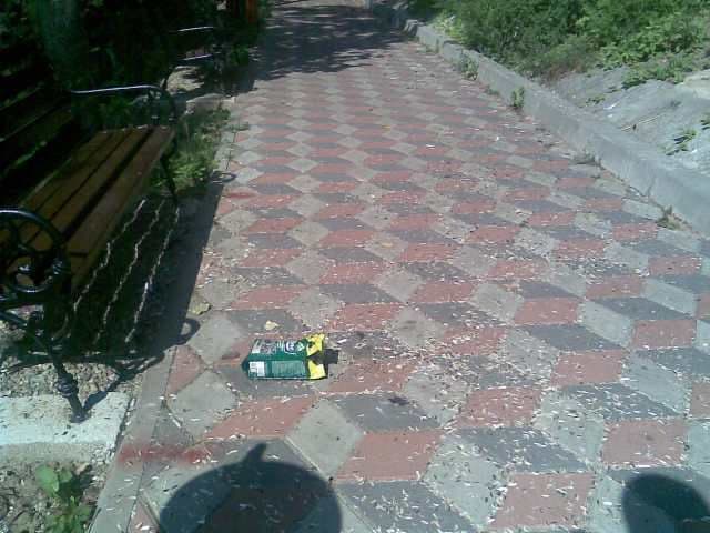 Scuipi seminţe sau arunci mucuri de ţigară pe stradă? Atenţie, eşti filmat şi amendat! Vezi unde