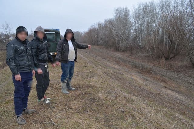 Aproximativ 8.000 pachete cu ţigări de contrabandă confiscate de poliţiştii de frontieră - FOTO
