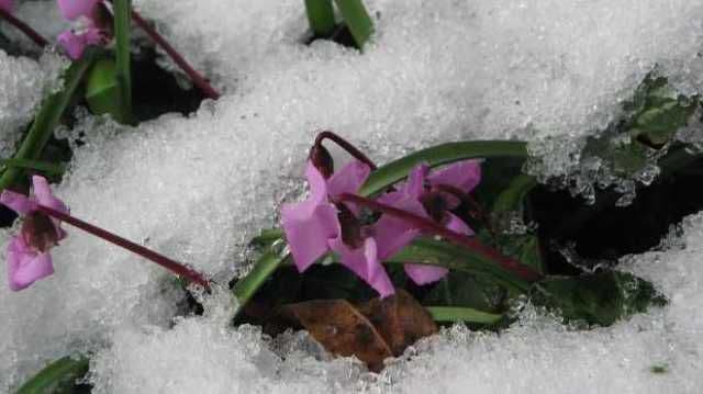 Meteorologii anunţă două coduri galbene! Va ninge abundent în aproape toată ţara