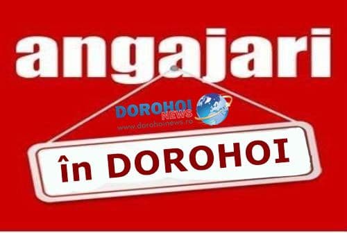 Anunț angajare pentru trei posturi la Liceul Tehnologic Special „Ion Pillat” Dorohoi