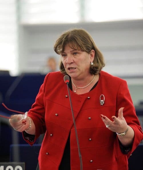 Norica Nicolai, în favoarea unei acțiuni rapide a CE în privința fondurilor de investiții pe termen lung