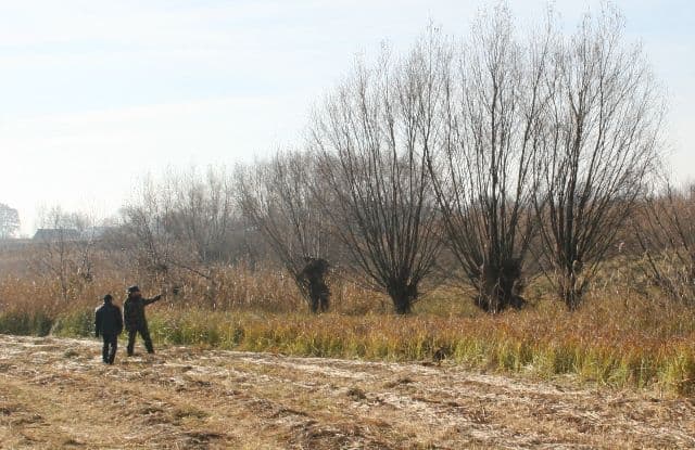 Migranţi ilegali depistaţi de poliţiştii de frontieră dorohoieni