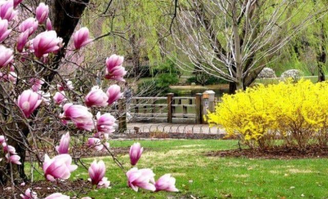 Cum va fi vremea de Paşte şi de 1 Mai. Prognoza meteo pe trei luni