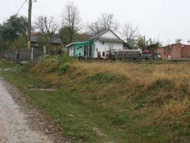 Descoperire mai puţin obişnuită. Vezi ce a găsit un bărbat în timp ce făcea curăţenie în gospodărie