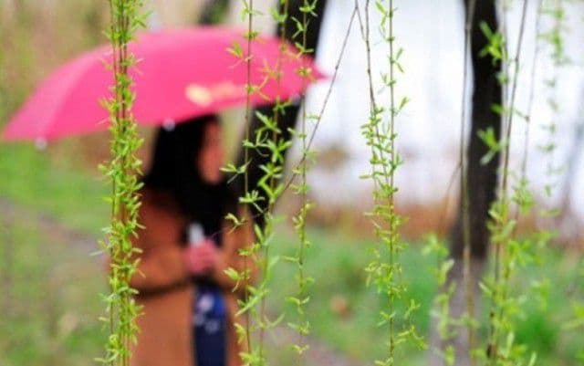 Vremea de Florii şi Paşte. Precipitaţii mixte în următoarele două săptămâni