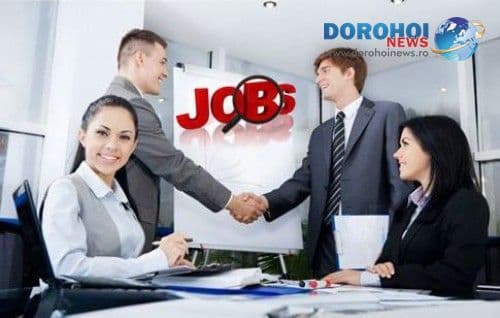 254 locuri de muncă vacante în Spaţiul Economic European