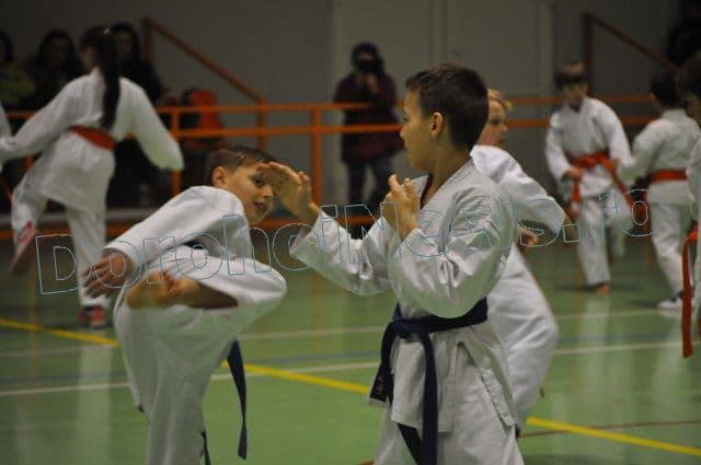 Sesiune de antrenament susținută la Dorohoi de președintele Federației Mondiale Shotokan - FOTO